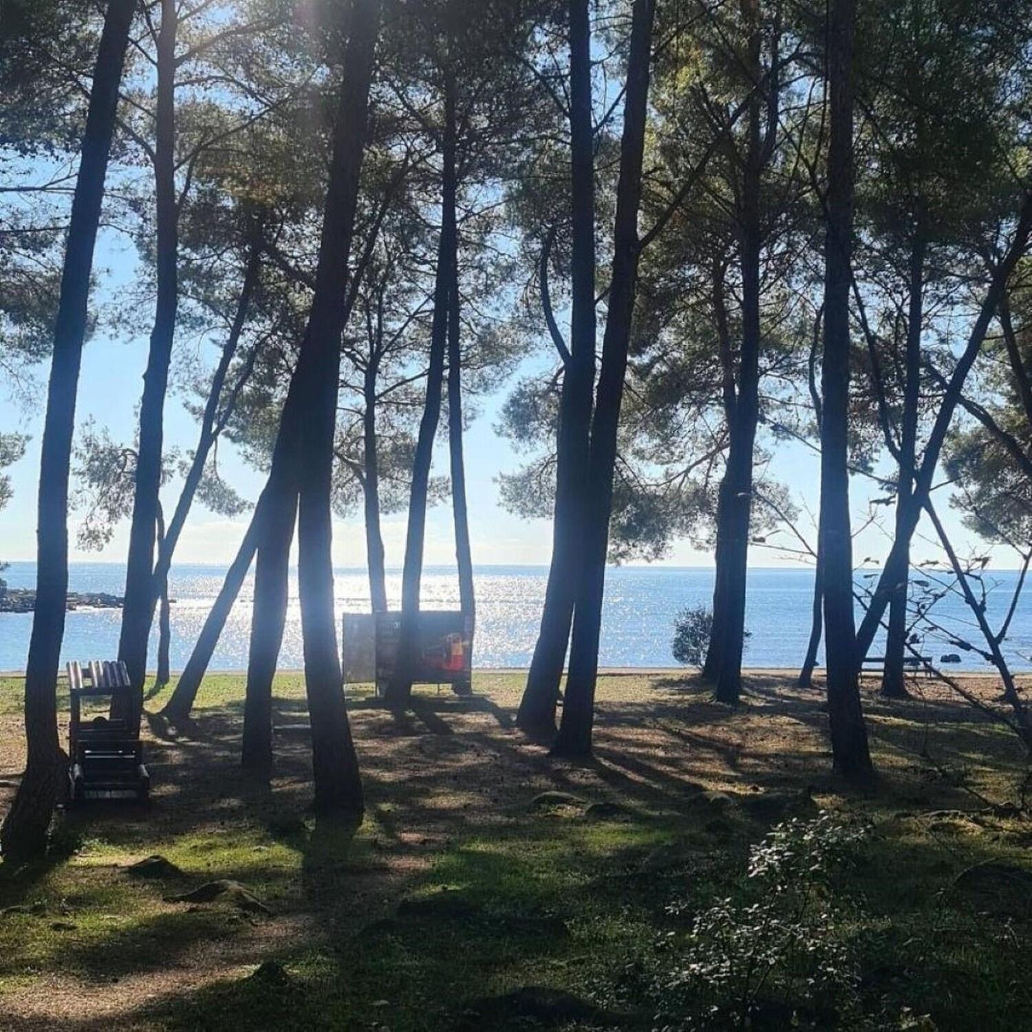 Apartments Berto - 500M To The Beach Rovinj Extérieur photo